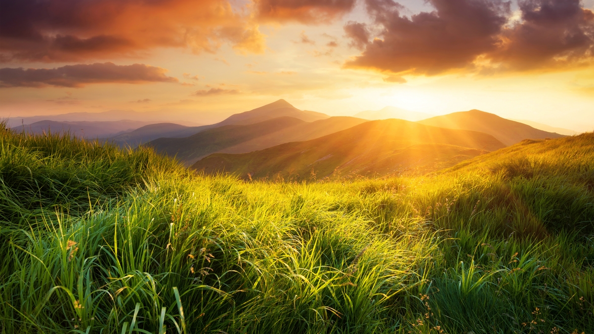 世界，您好！-优惠券